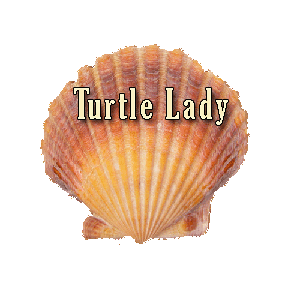 Link to The Turtle Lady